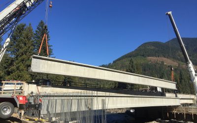 Trans-Canada Highway No. 1 North Fork Bridge Replacement and 4 Laning